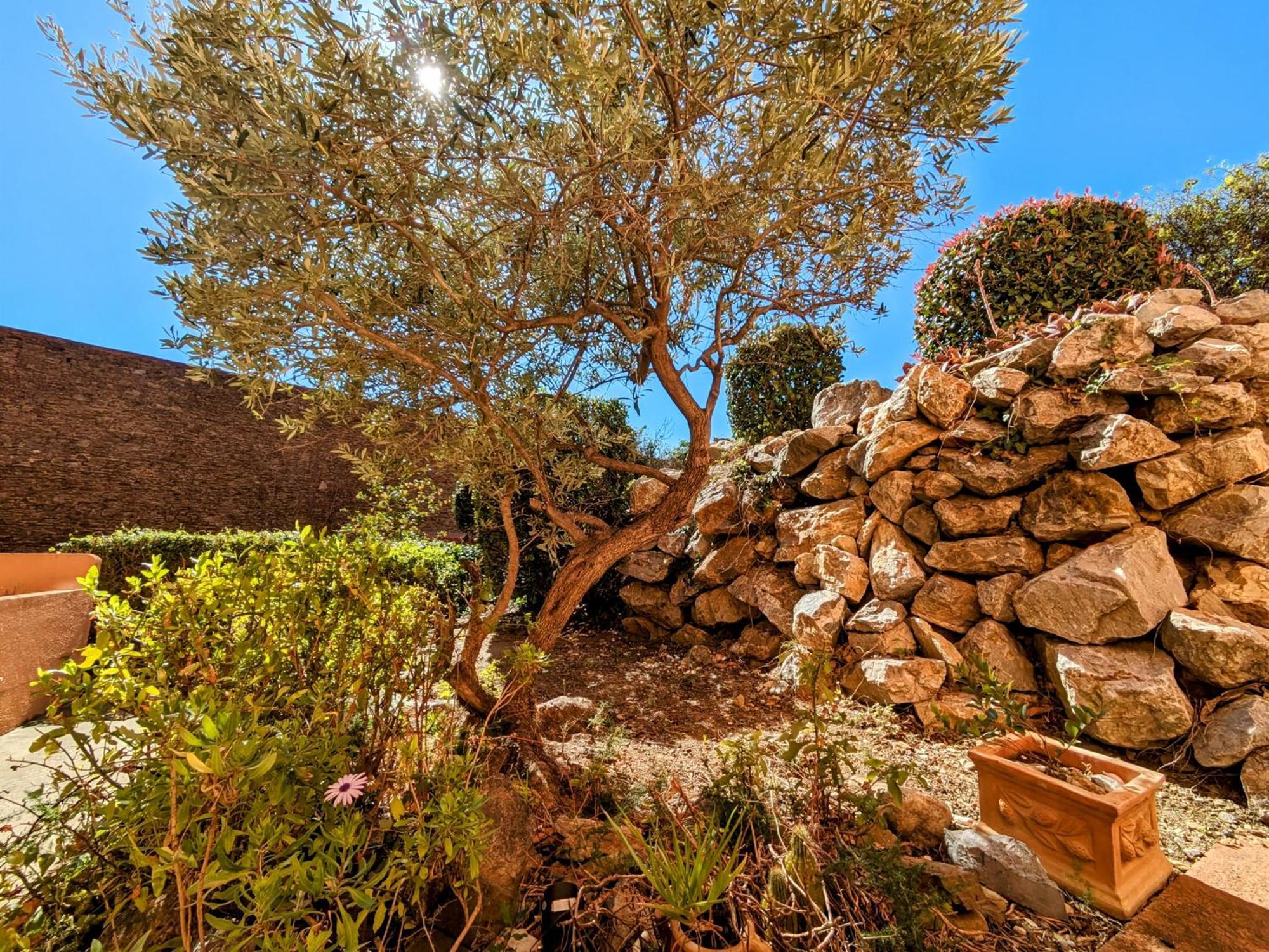 Appartement Central Avec Parking, Terrasse Et Wifi Collioure Esterno foto
